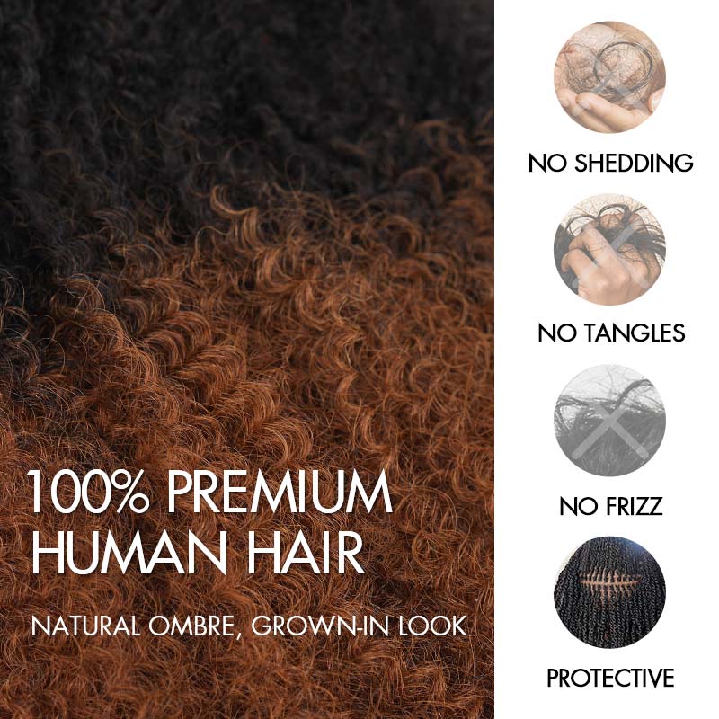 P3G5|Ombre Brown #T1B/30 Afro kinky Bulk Human Hair